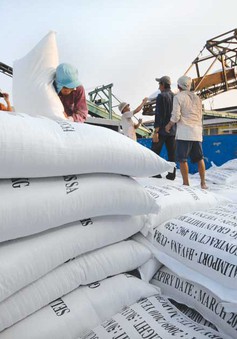 Đa dạng hóa thị trường xuất khẩu gạo