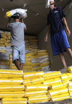 Đề nghị đảm bảo nguồn tín dụng ưu đãi cho doanh nghiệp xuất khẩu gạo