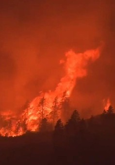 Canada sơ tán hàng nghìn dân khi cháy rừng đe dọa hàng loạt thị trấn