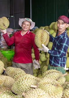 Việt Nam có thể đạt 10 tỷ USD kim ngạch xuất khẩu rau quả