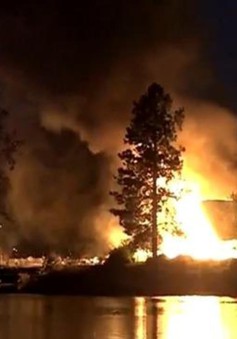 Cháy rừng bùng phát ở bang Washington (Mỹ)