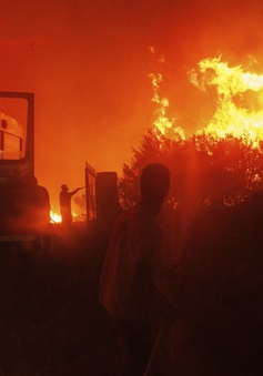 Hy Lạp phát hiện 18 thi thể nạn nhân tử vong do cháy rừng