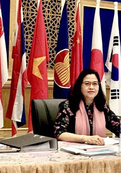 Việt Nam lần đầu có ứng cử viên Giám đốc Văn phòng khu vực của WHO