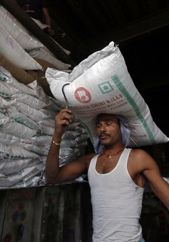 Ấn Độ lần đầu tiên sau 7 năm sẽ cấm xuất khẩu đường