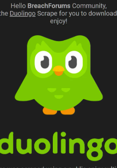 Dữ liệu 2,6 triệu người dùng Duolingo bị phát tán công khai