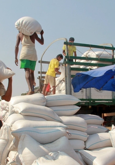 Myanmar hạn chế xuất khẩu gạo