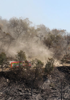 Lính cứu hỏa ở Hy Lạp chiến đấu với đám cháy rừng lớn nhất từng được ghi nhận ở EU