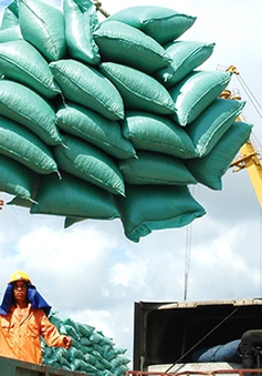 Ổn định thị trường gạo, đảm bảo vững chắc an ninh lương thực quốc gia