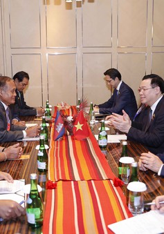 Chủ tịch Quốc hội gặp lãnh đạo Nghị viện Campuchia và Malaysia