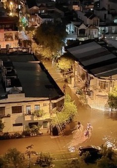 TP Hồ Chí Minh: Mưa to, dông lốc làm đổ cây, tốc mái, đường ngập như sông