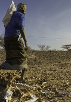 Liên hợp quốc kêu gọi hỗ trợ châu Phi ứng phó thảm họa khí hậu