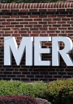 Merck & Co Inc đạt 15 tỷ USD doanh thu trong quý II/2023