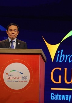 Việt Nam ưu tiên thúc đẩy hợp tác kinh tế với Ấn Độ