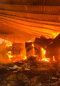 Cháy lớn tại xưởng gỗ hoạt động "chui" ở Phú Thọ