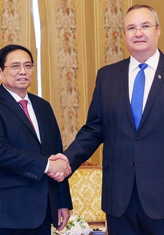 Thủ tướng Phạm Minh Chính chính hội kiến Chủ tịch Thượng viện Romania