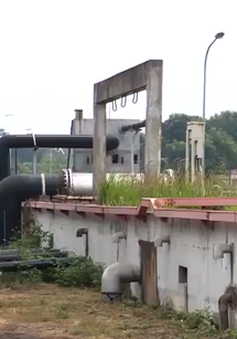 Sở Xây dựng Hà Nội phản hồi sau phản ánh của VTV về nhà máy xử lý nước thải bỏ hoang