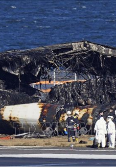 Thêm 200 chuyến bay nội địa bị hủy do vụ va chạm máy bay ở sân bay Haneda