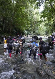Hơn 500.000 người di cư vượt qua rừng rậm "tử thần" Darien Gap tới Mỹ năm 2023