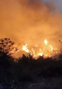 Báo động nguy cơ cháy rừng tại nhiều nước Đông Nam Á