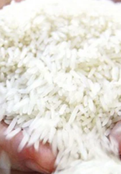 Gạo Việt vào châu Âu bằng thương hiệu