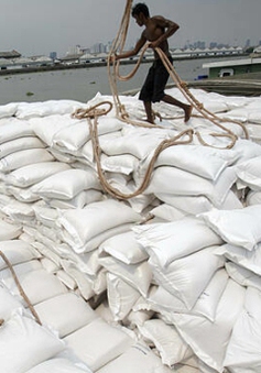Xuất khẩu gạo Thái Lan có thể giảm mạnh