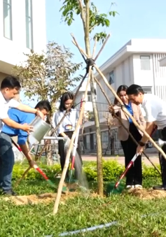 Phú Yên: Phát động Tết trồng cây