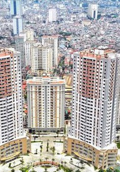 Luật Đất đai 2024: Tạo thuận lợi cho Việt kiều mua bất động sản