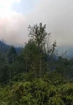 Cơ bản dập tắt cháy rừng tại Lào Cai, thiệt hại hơn 31 ha rừng