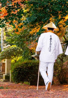 Hành trình tìm lại chính mình qua Shikoku Henro, chuyến hành hương di sản của Nhật Bản