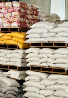Giá gạo xuất khẩu đi ngang sau phiên giảm mạnh