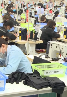 Hà Tĩnh: Cơ hội việc làm cho hàng nghìn lao động