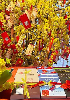 Trải nghiệm không gian văn hóa Nam Bộ tại Lễ hội Đường sách Tết Giáp Thìn
