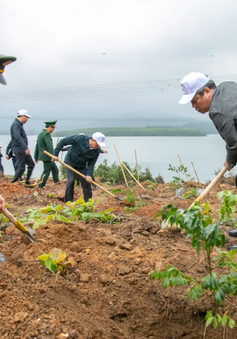 Thủ tướng chỉ thị tổ chức Tết trồng cây, tăng cường quản lý, bảo vệ, phát triển rừng