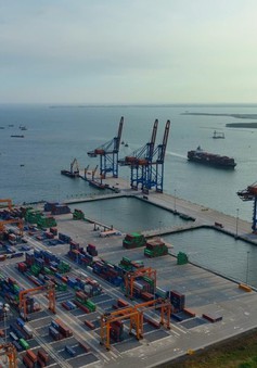 Tăng cường kết nối logistics thúc đẩy tiêu thụ, xuất khẩu nông, lâm, thủy sản