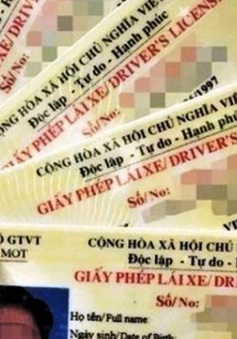 Kế hoạch thực hiện Hiệp định công nhận giấy phép lái xe giữa Việt Nam và Hàn Quốc