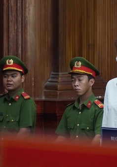 Bà Hàn Ni bị phạt 18 tháng tù
