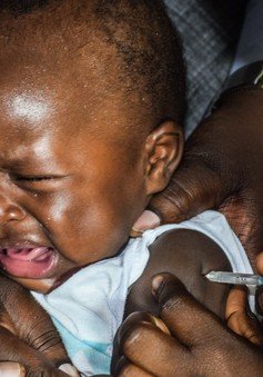 Vaccine sốt rét giá rẻ sắp triển khai ở châu Phi