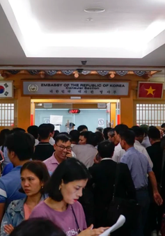 Công dân Việt Nam xin visa khó khăn, Bộ trưởng Bộ Ngoại giao đưa ra giải pháp