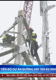 Kiểm tra tiến độ dự án đường dây 500 kV mạch 3 tại Nghệ An