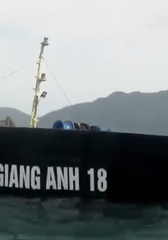 Khẩn trương hút dầu từ tàu gặp nạn trên biển Cù Lao Chàm
