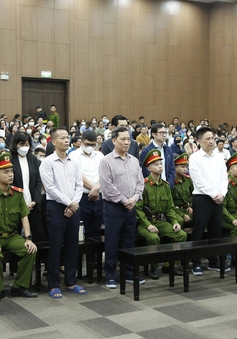 Chủ tịch Tân Hoàng Minh bị tuyên phạt 8 năm tù, bồi thường hơn 8.600 tỷ đồng