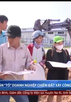 Người dân Quảng Ngãi "tố" doanh nghiệp chiếm đất xây công trình trái phép