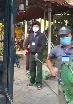 TP Hồ Chí Minh triển khai các đội bắt chó thả rông
