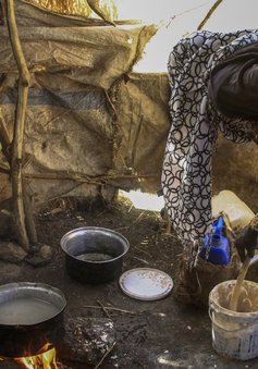 Hành động ngay lập tức để ngăn chặn tình trạng tử vong trên diện rộng do nạn đói ở Sudan