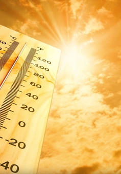 Việt Nam xuất hiện nắng nóng kỷ lục của năm 2024 lên tới hơn 42 độ C