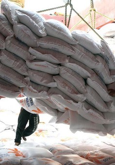 Thái Lan tìm cách tăng xuất khẩu gạo sang Philippines