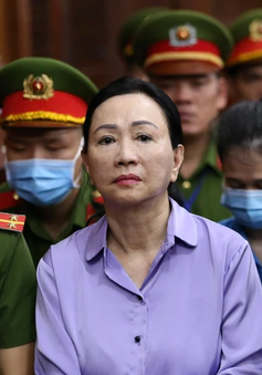 Vụ Vạn Thịnh Phát: Bà Trương Mỹ Lan xin miễn án phạt cho chồng và cháu ruột