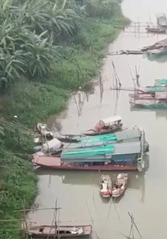 Hàng chục tàu cá khai thác theo kiểu tận diệt trên sông Hồng