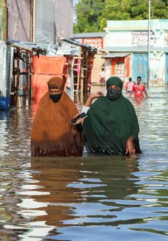 Lũ lụt nghiêm trọng ở Đông Phi khiến hàng chục người chết, hàng nghìn người phải di dời