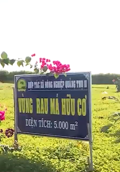 Thừa Thiên Huế: Nghiên cứu điều chế chế phẩm sinh học từ thực vật bản địa